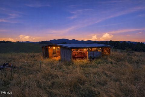 Vacant Land For Sale - 000 Strong Hollow Lane<br/> Scott County, Fort Blackmore, VA 24250