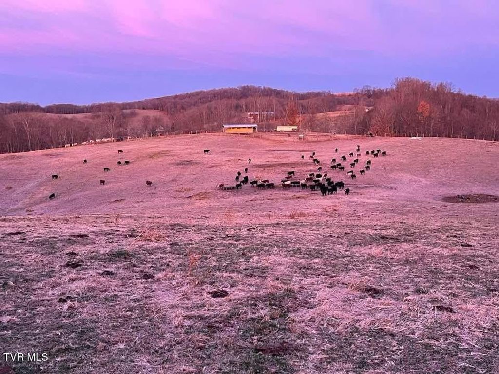 Photo of 000 Strong Hollow Lane, Fort Blackmore, VA 24250 (MLS # 9991746)