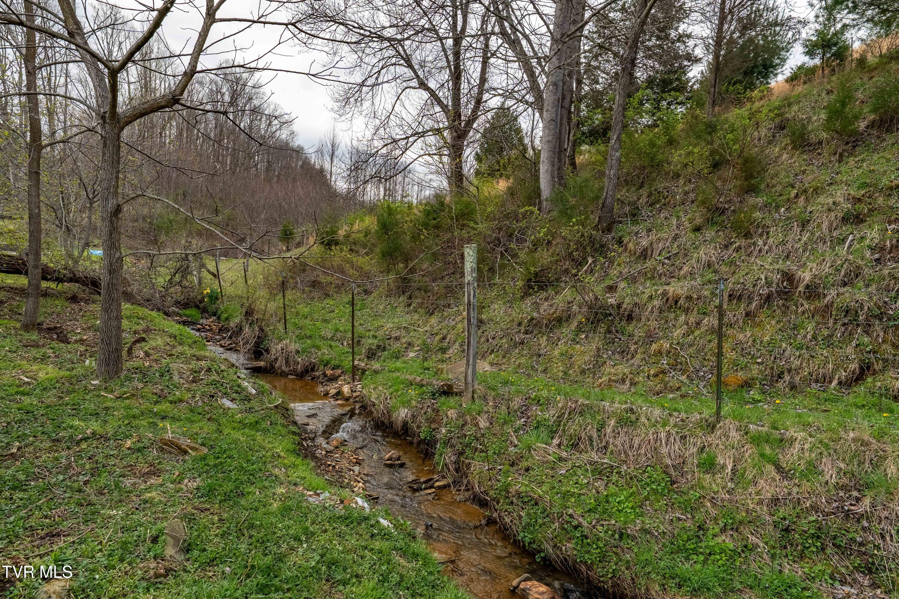 11080 421 South Highway, Trade, Tennessee image 16