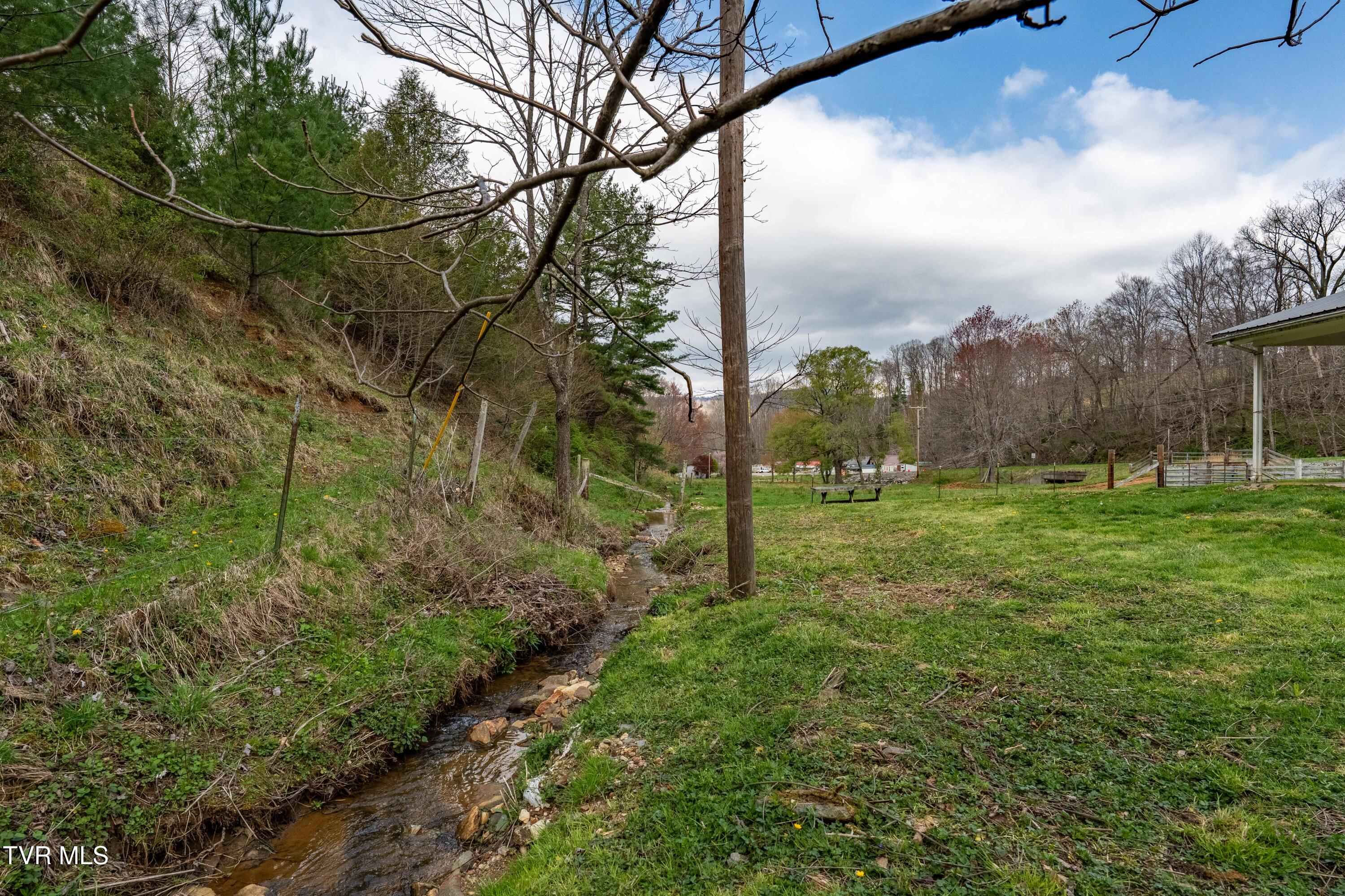 11080 421 South Highway, Trade, Tennessee image 15