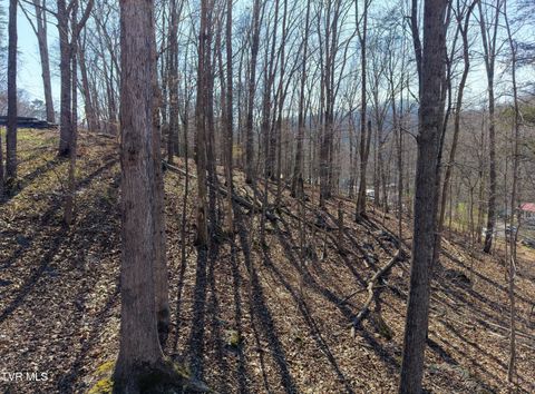 Vacant Land For Sale - TBD Grove Park Drive<br/> Bristol, TN 37620