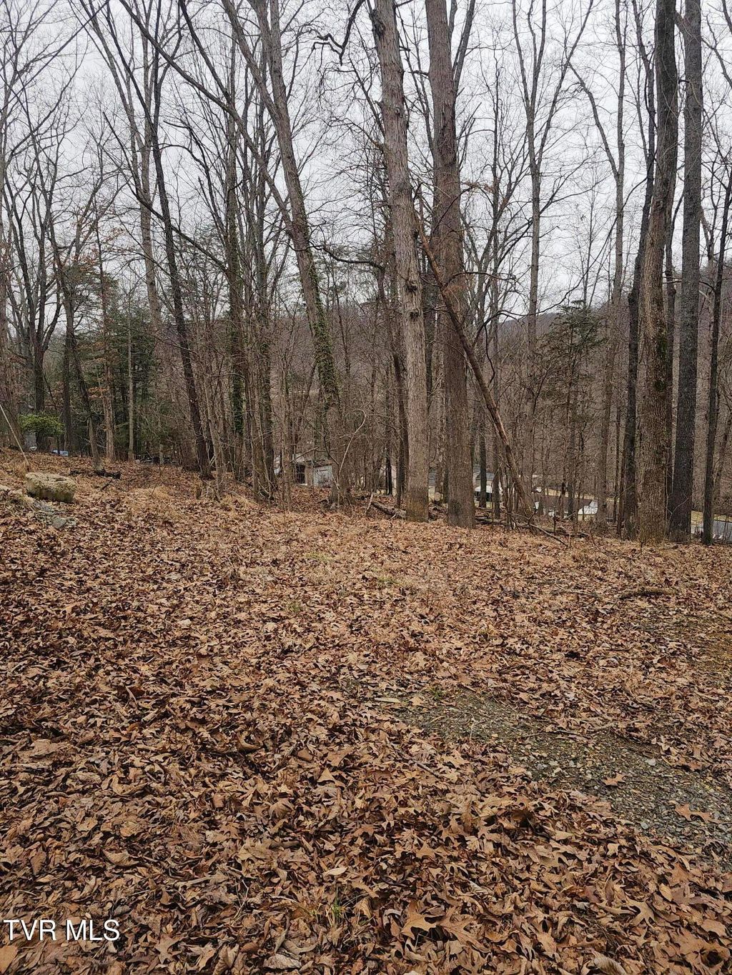 Photo of Tbd Grove Park Drive, Bristol, TN 37620 (MLS # 9991346)
