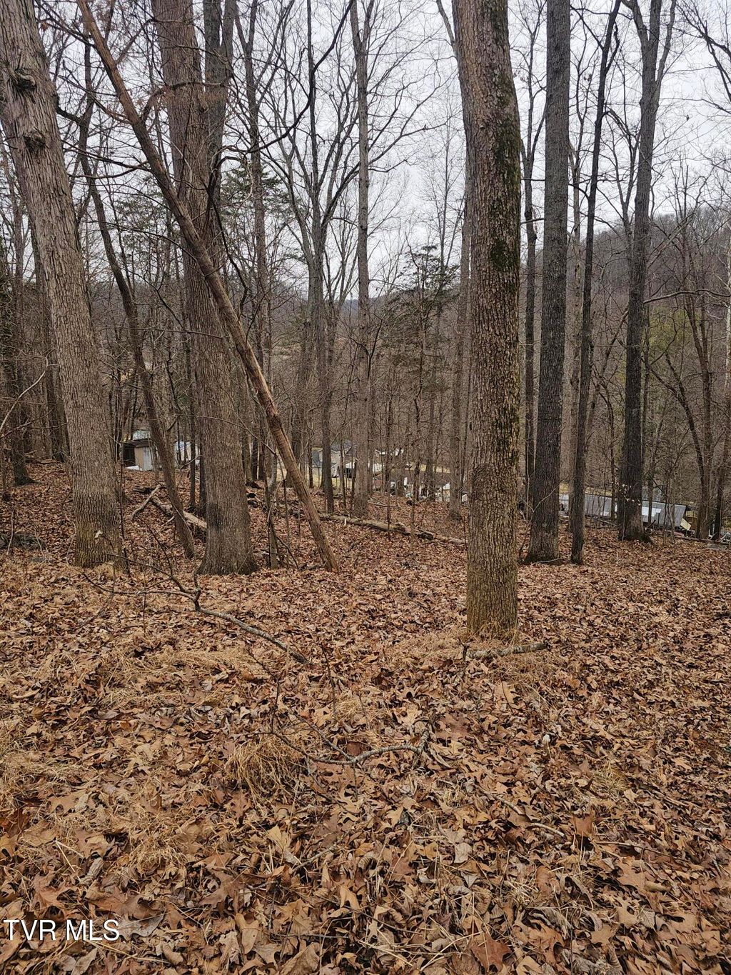 Photo of Tbd Grove Park Drive, Bristol, TN 37620 (MLS # 9991346)