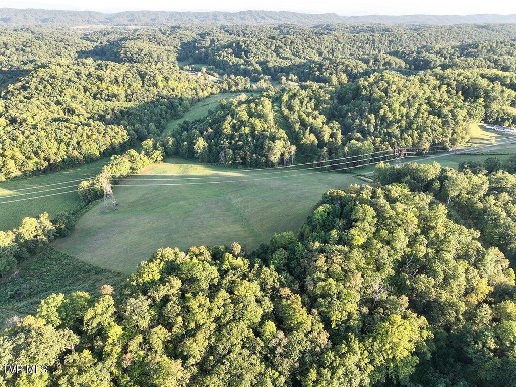 Photo of 0 Longtown Road, Bulls Gap, TN 37711 (MLS # 9989651)