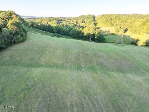 Vacant Land For Sale - Longtown Road<br/> Bulls Gap, TN 37711