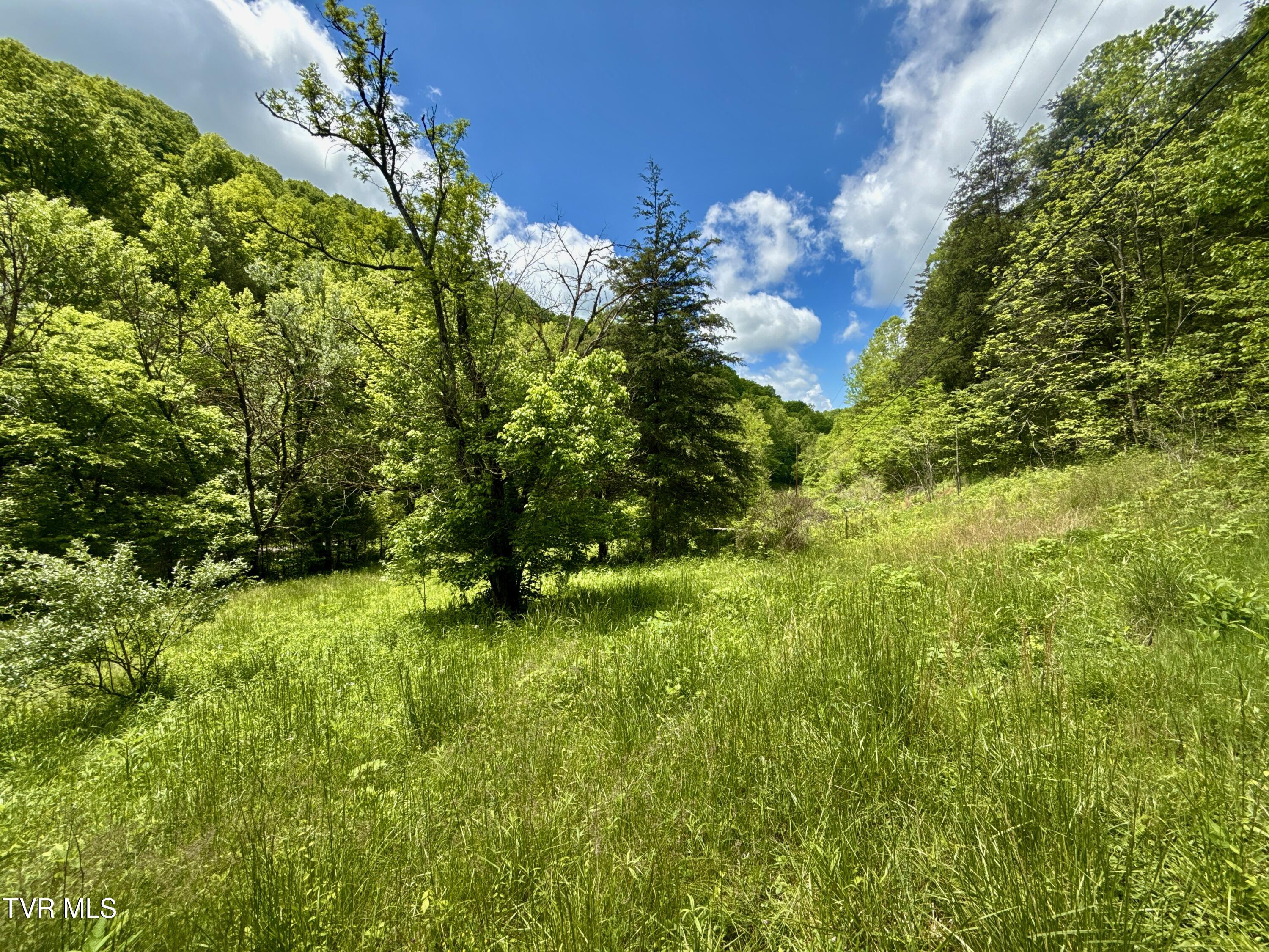 47/Ac Tbd Enoch Rd, Eidson, Tennessee image 11