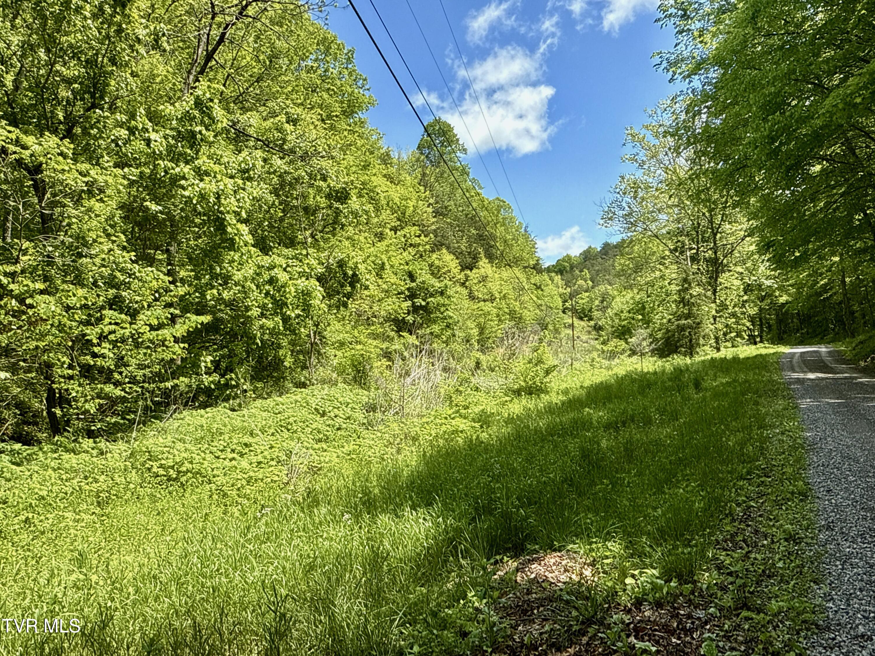 47/Ac Tbd Enoch Rd, Eidson, Tennessee image 6