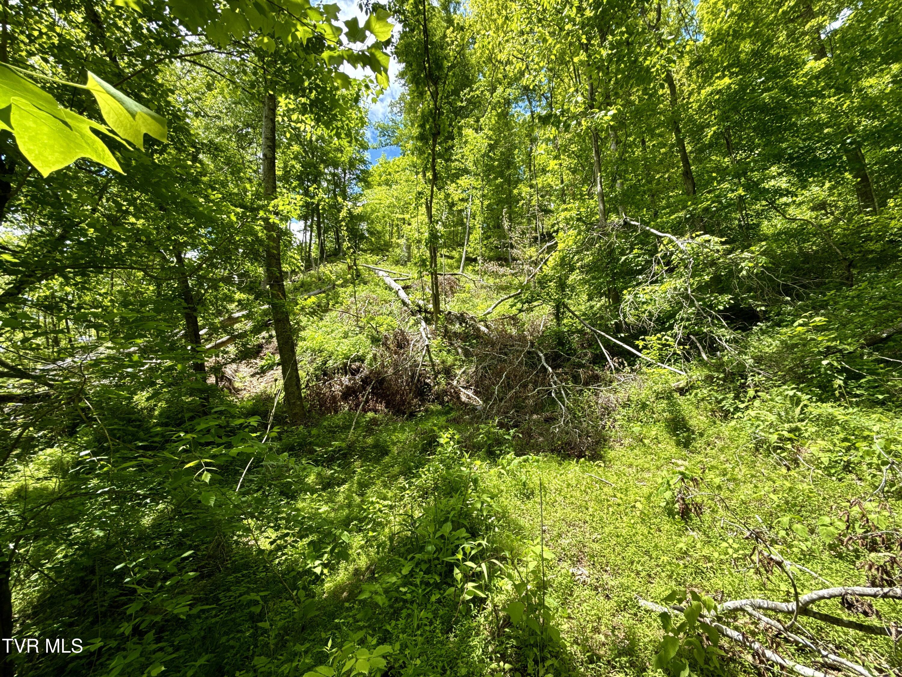 47/Ac Tbd Enoch Rd, Eidson, Tennessee image 19