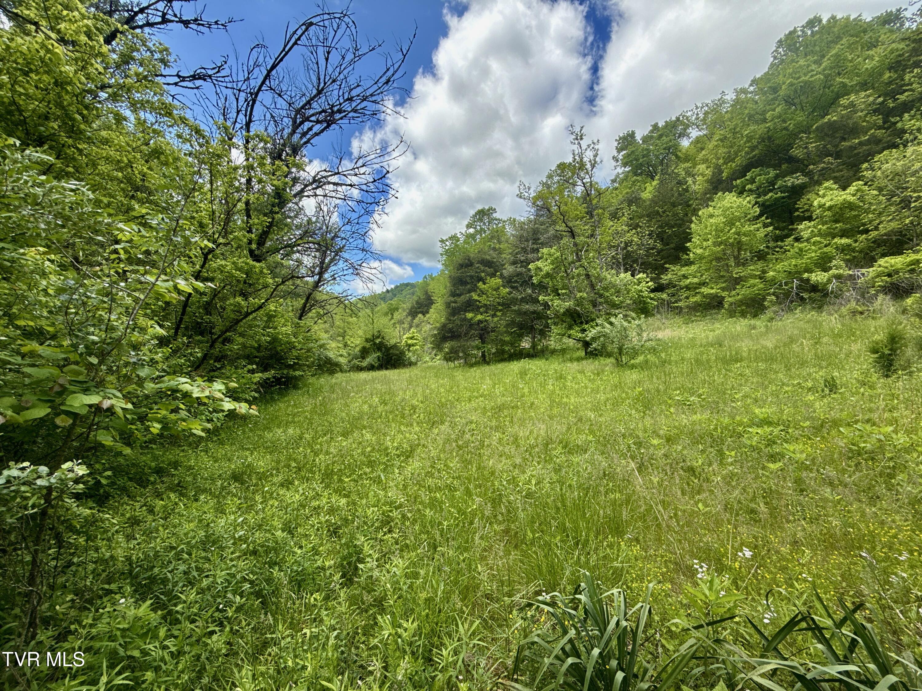 47/Ac Tbd Enoch Rd, Eidson, Tennessee image 1