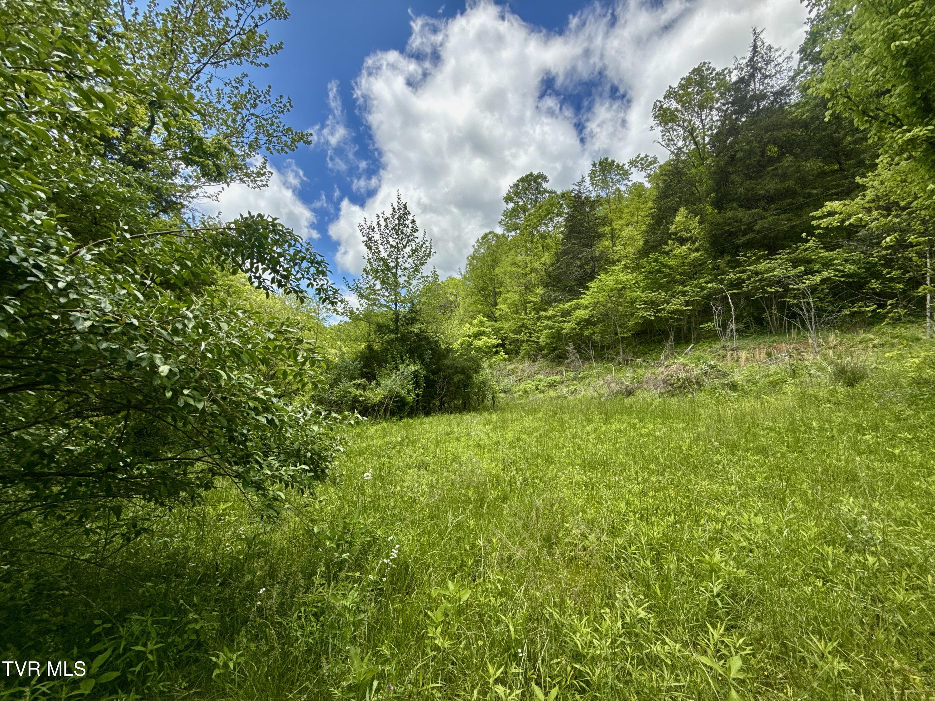 47/Ac Tbd Enoch Rd, Eidson, Tennessee image 9