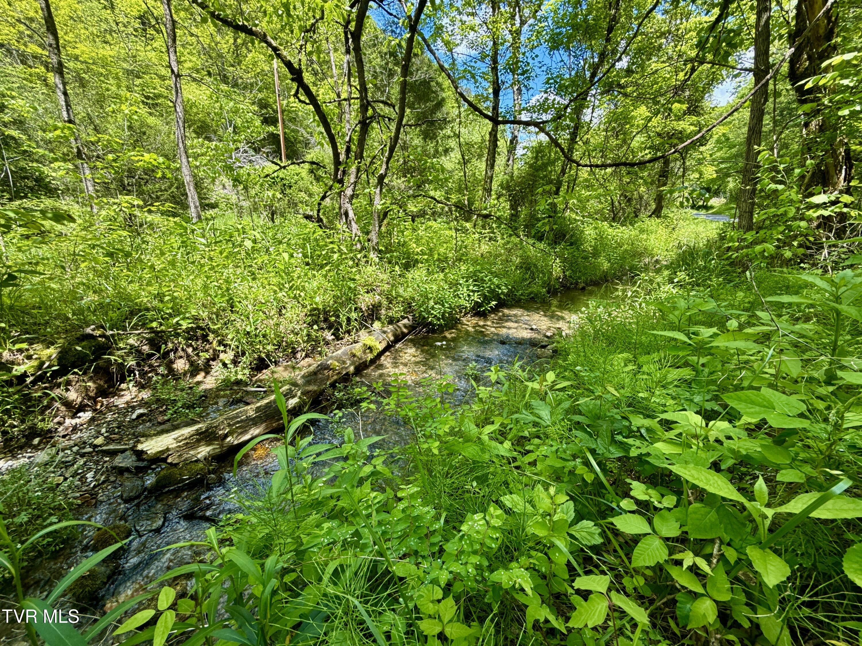 47/Ac Tbd Enoch Rd, Eidson, Tennessee image 12