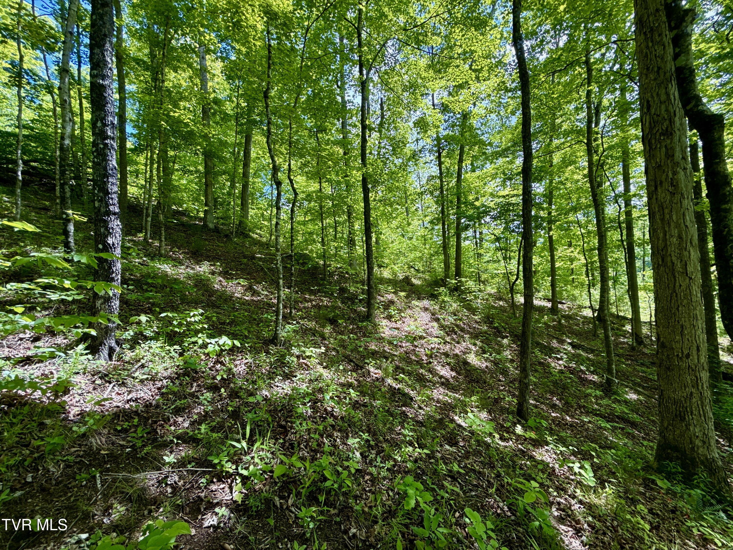 47/Ac Tbd Enoch Rd, Eidson, Tennessee image 18