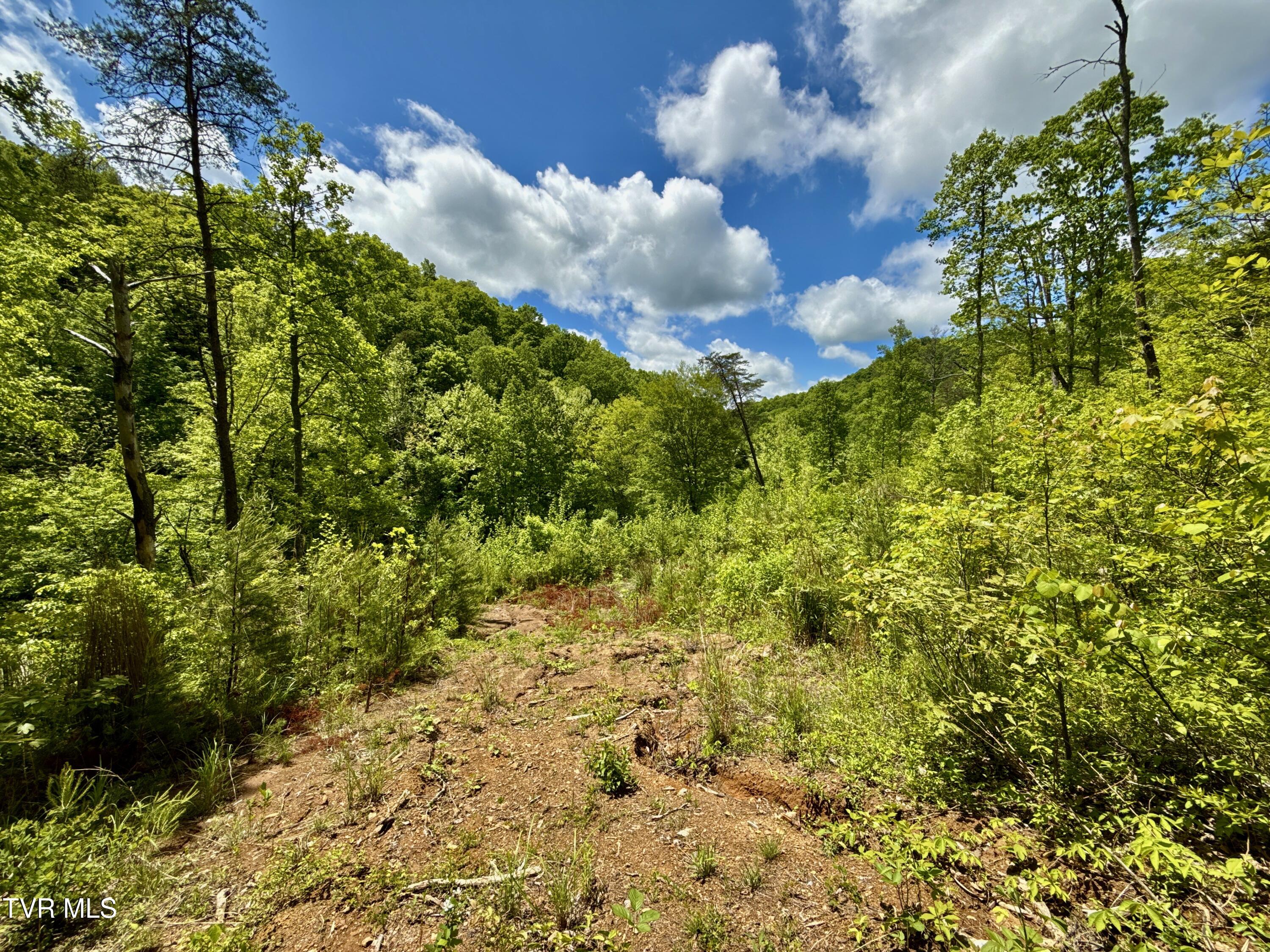 47/Ac Tbd Enoch Rd, Eidson, Tennessee image 16