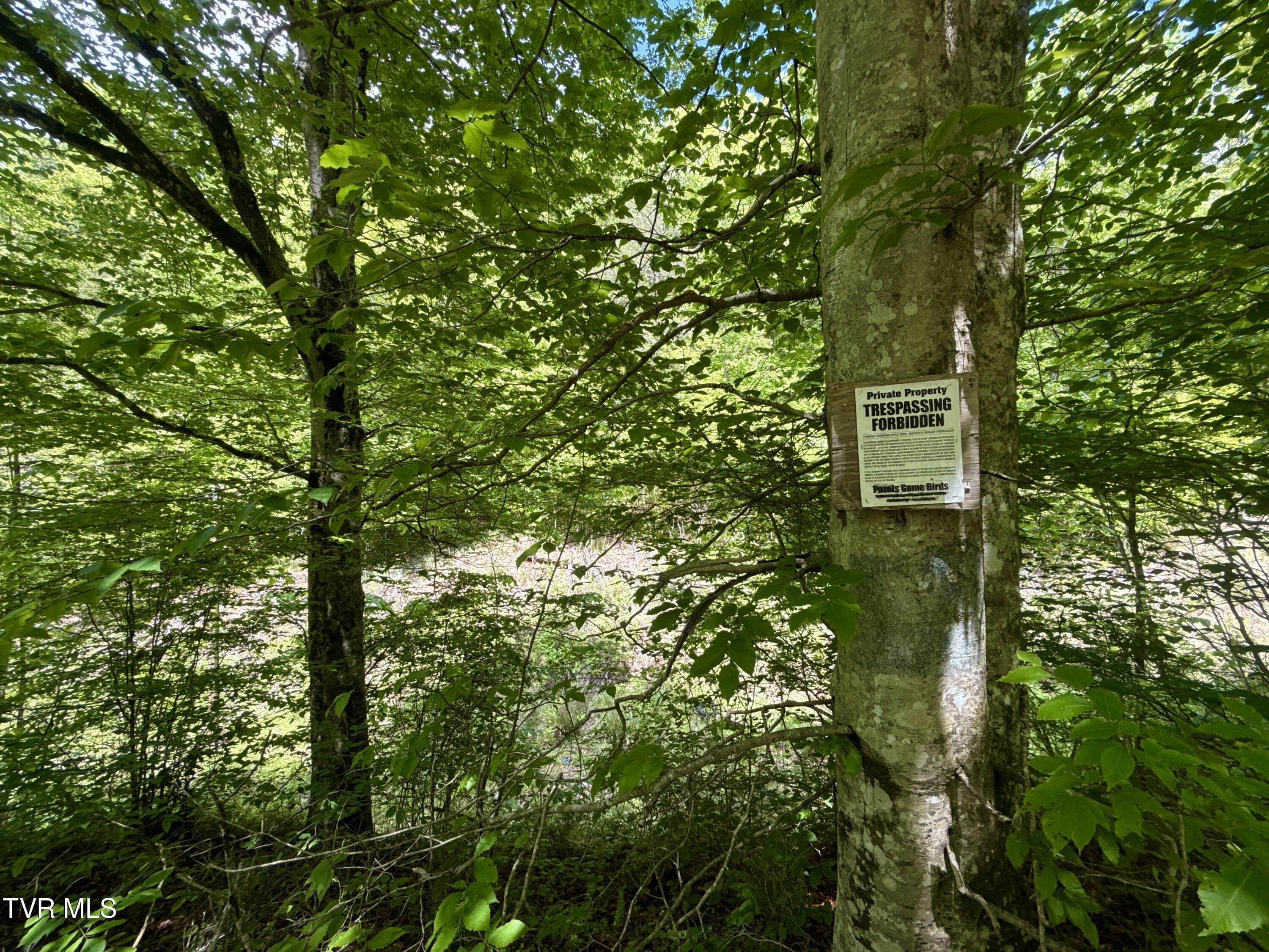 47/Ac Tbd Enoch Rd, Eidson, Tennessee image 24