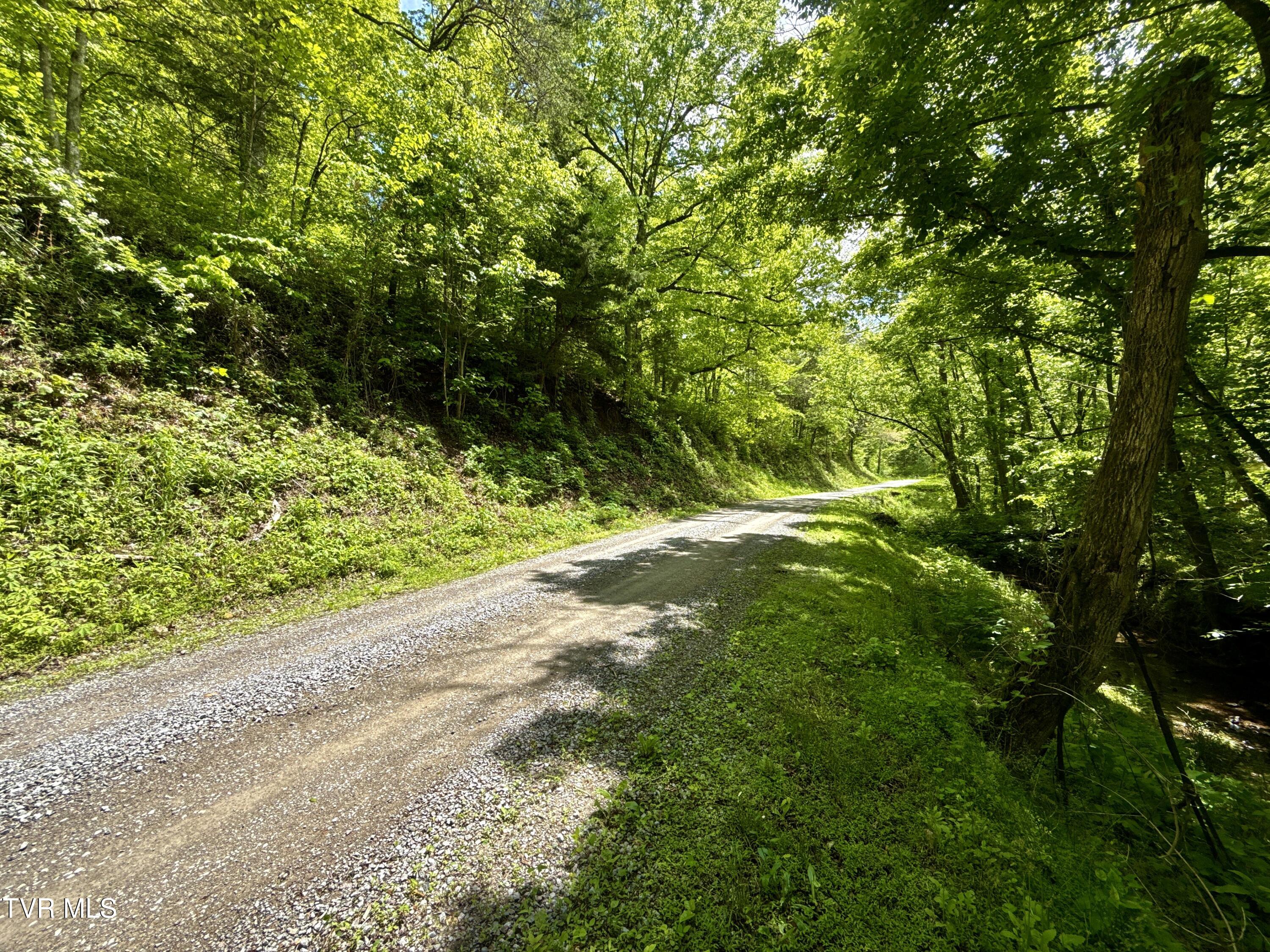 47/Ac Tbd Enoch Rd, Eidson, Tennessee image 23