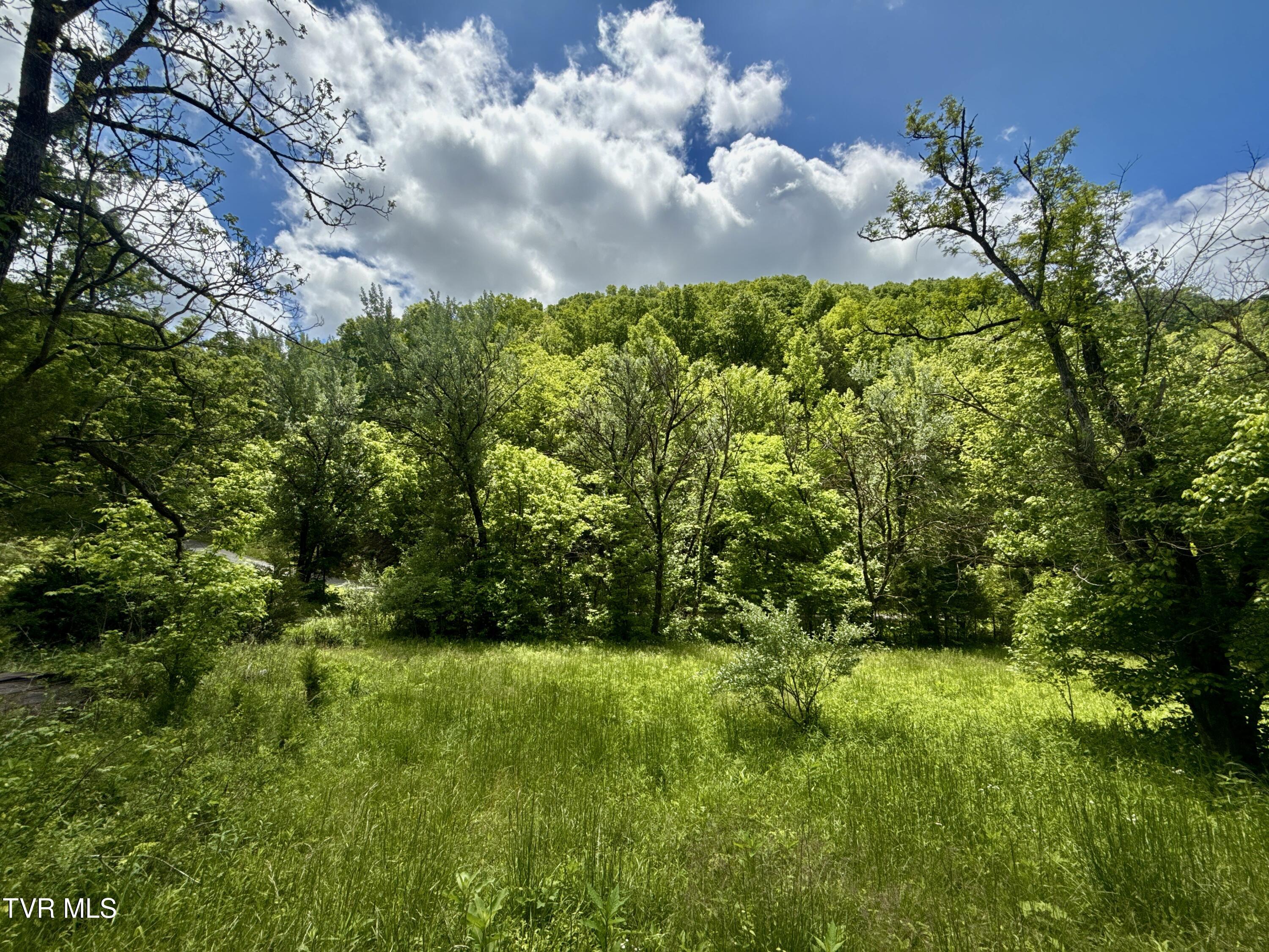 47/Ac Tbd Enoch Rd, Eidson, Tennessee image 10