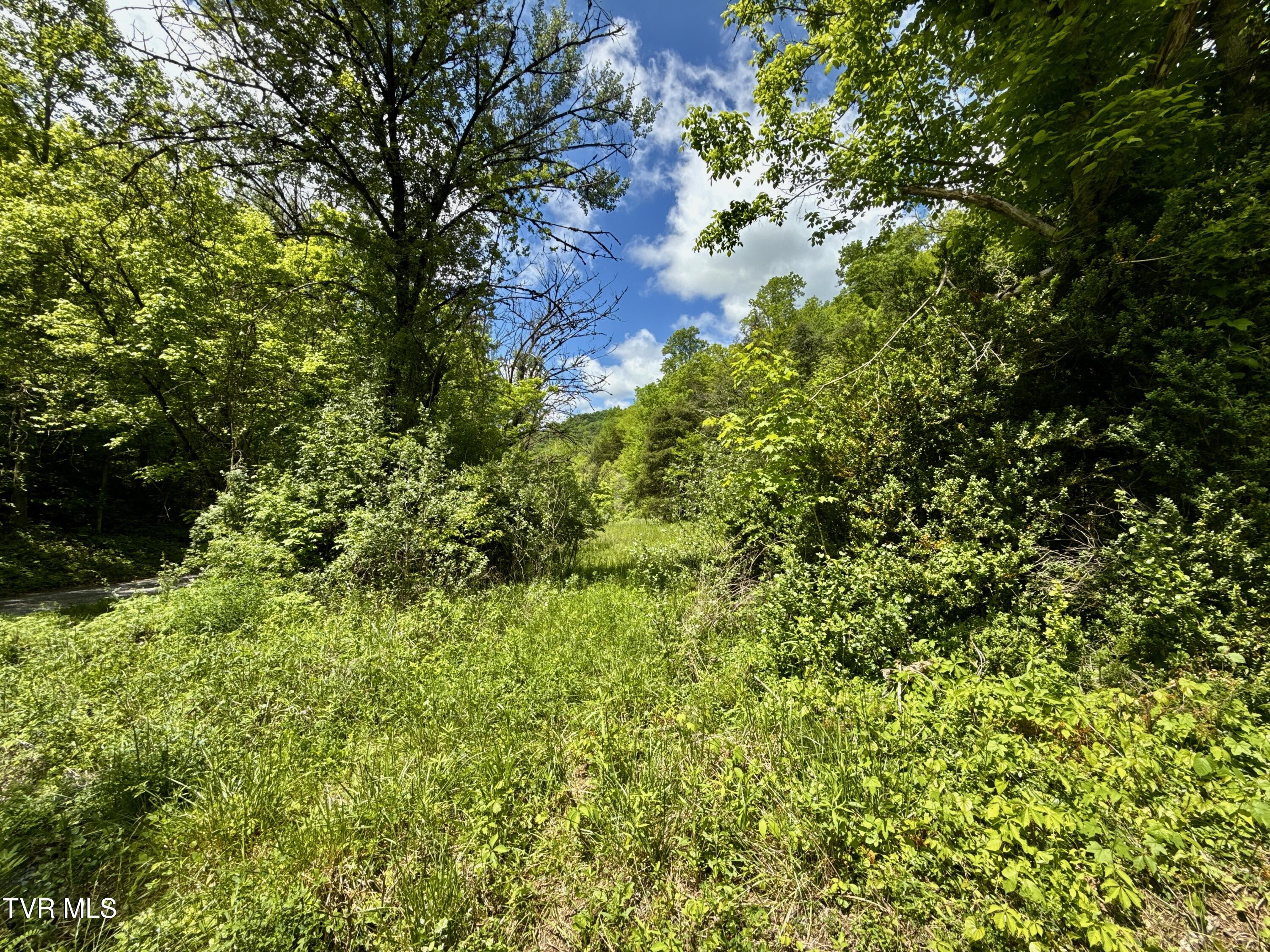 47/Ac Tbd Enoch Rd, Eidson, Tennessee image 7
