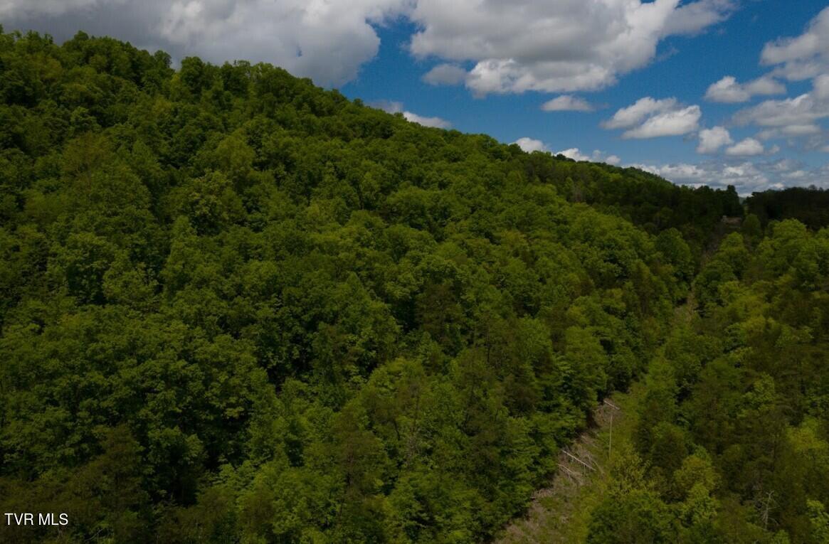 47/Ac Tbd Enoch Rd, Eidson, Tennessee image 37