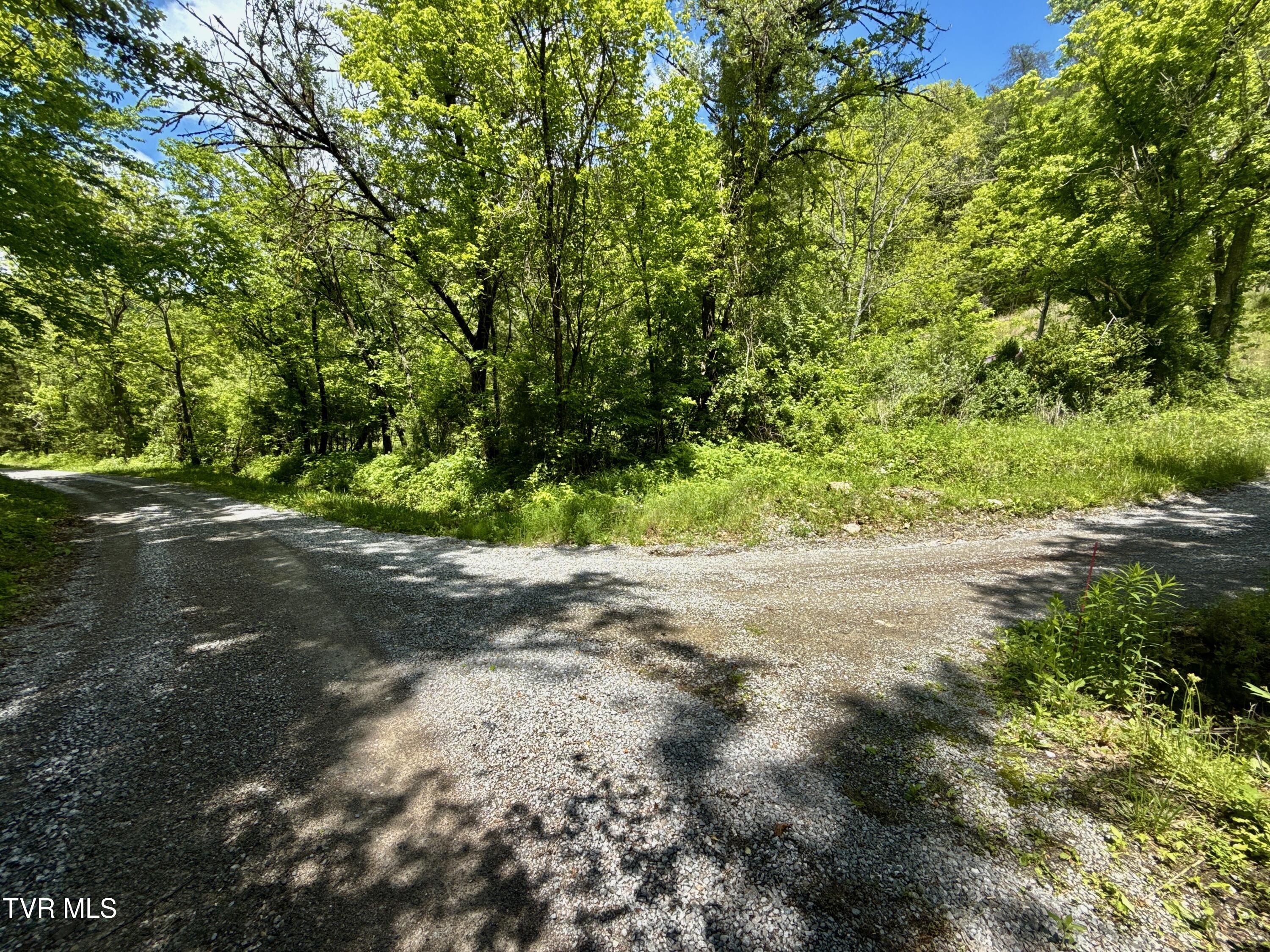 47/Ac Tbd Enoch Rd, Eidson, Tennessee image 28