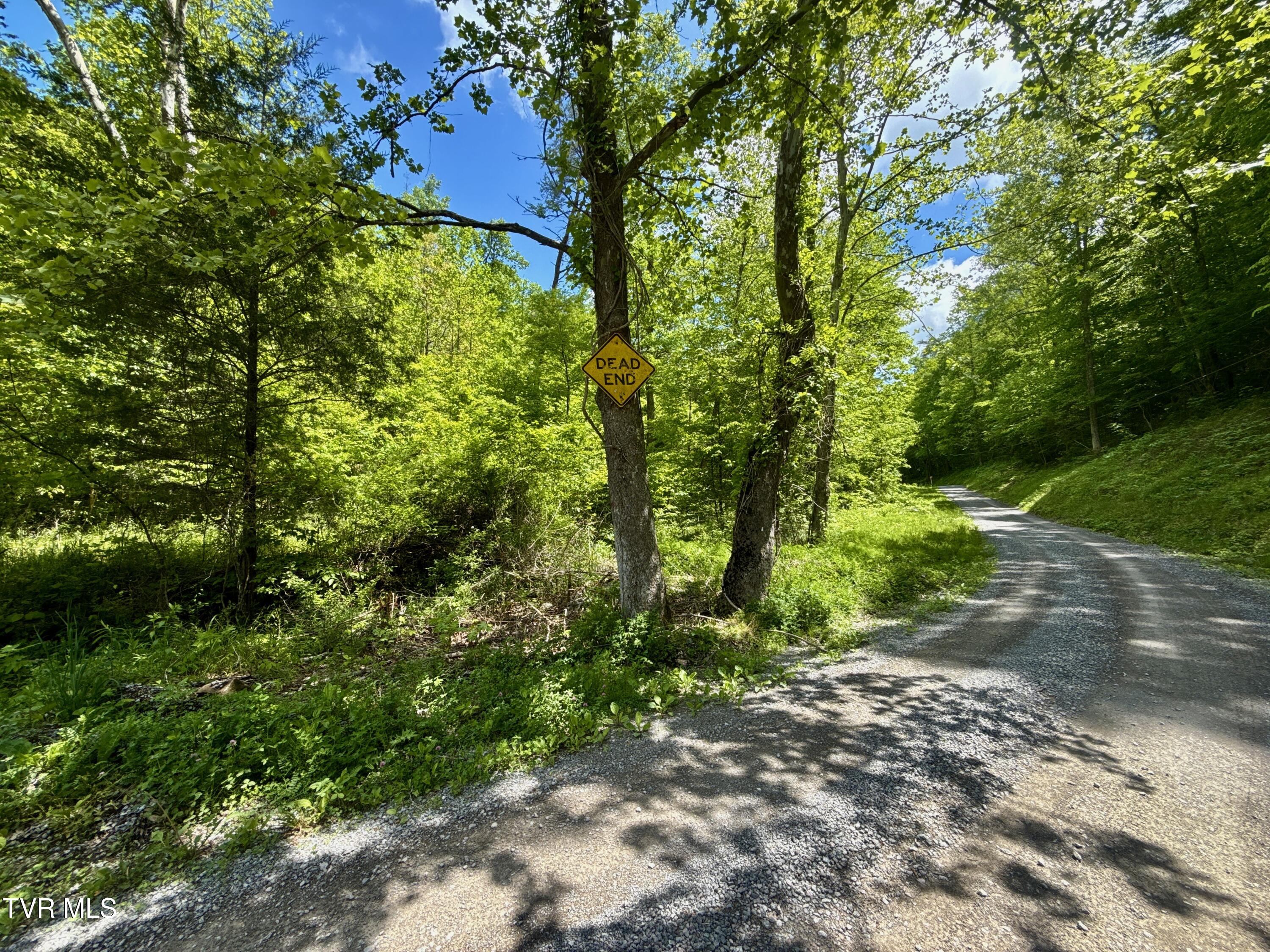 47/Ac Tbd Enoch Rd, Eidson, Tennessee image 4