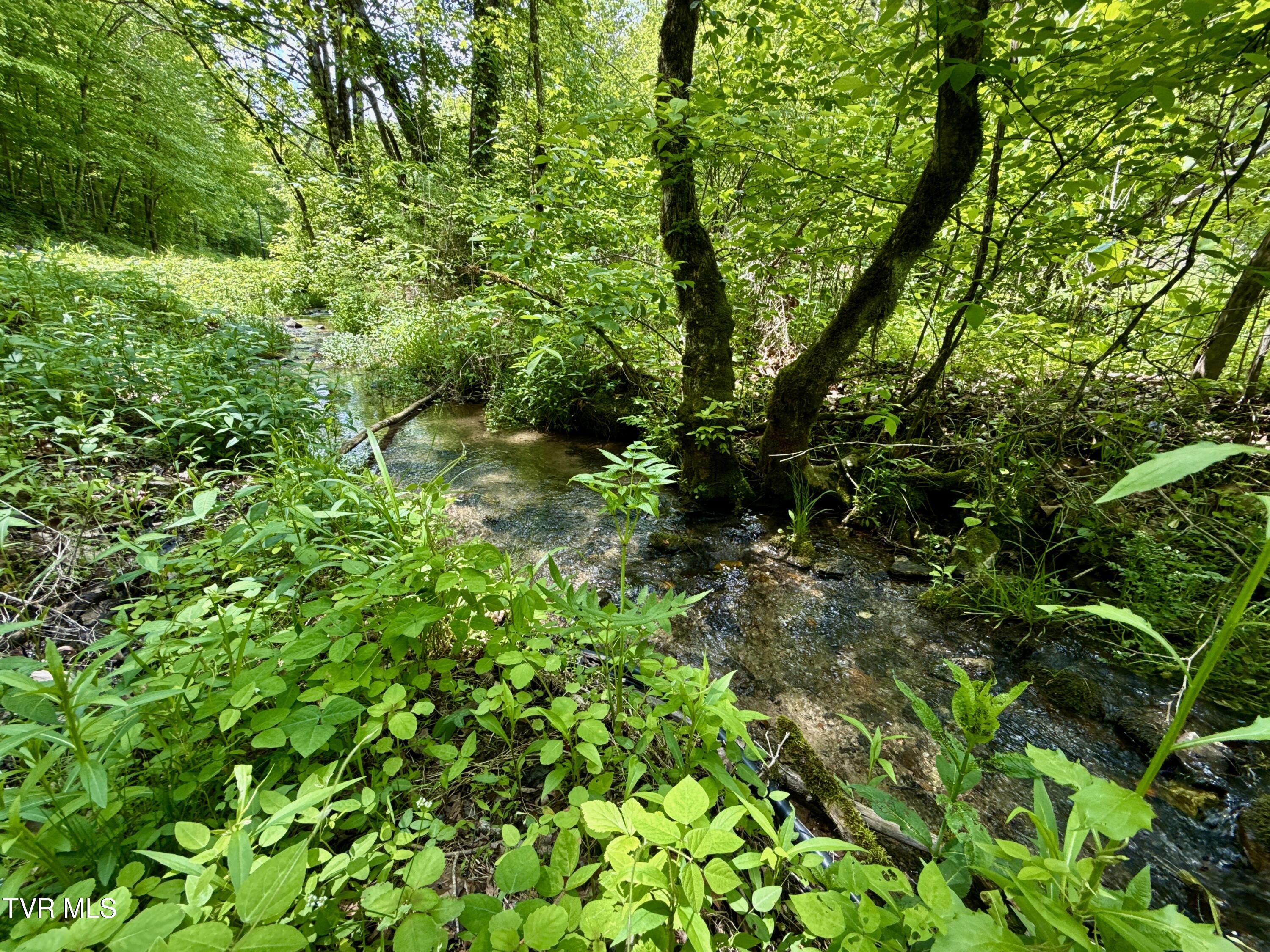 47/Ac Tbd Enoch Rd, Eidson, Tennessee image 3