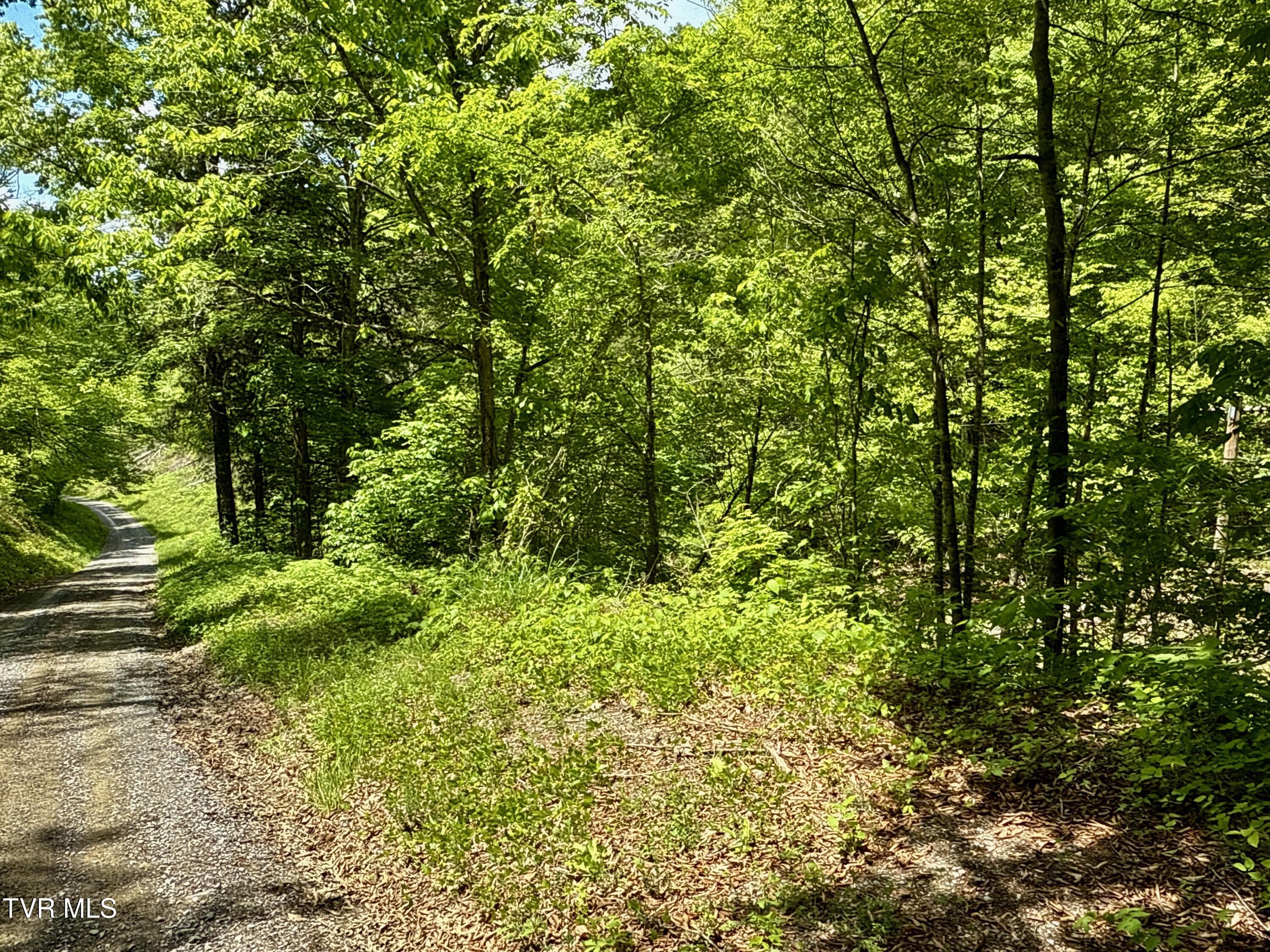 47/Ac Tbd Enoch Rd, Eidson, Tennessee image 25