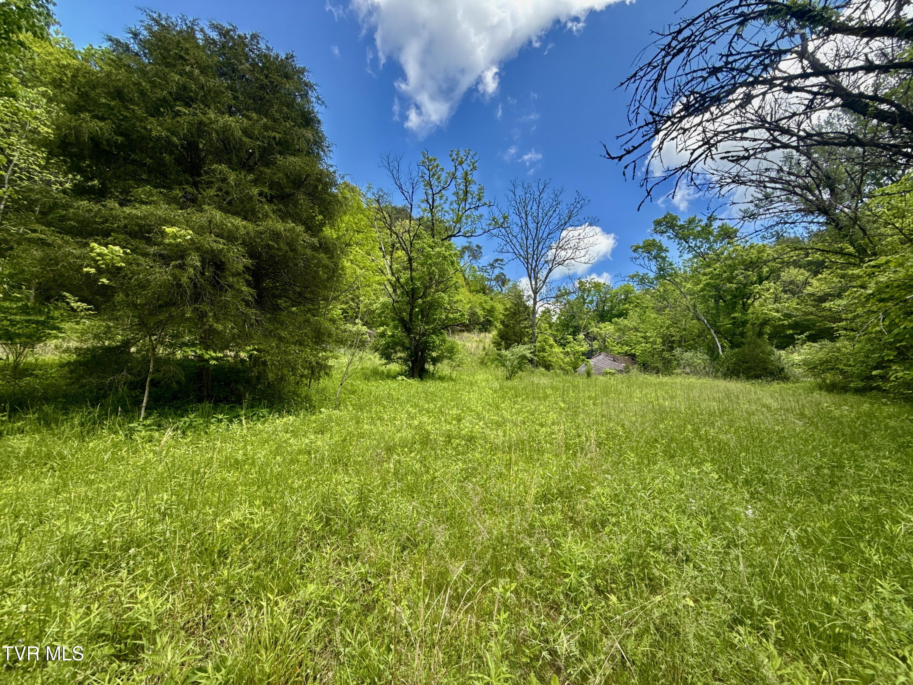 47/Ac Tbd Enoch Rd, Eidson, Tennessee image 8