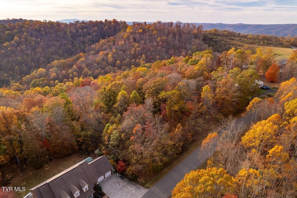 Tbd Airport Road, Cedar Bluff, Virginia image 2