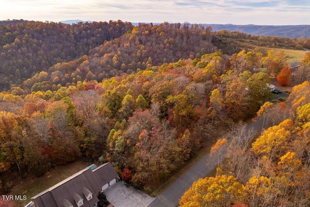 Photo of Tbd Airport Road, Cedar Bluff, VA 24609 (MLS # 9972867)