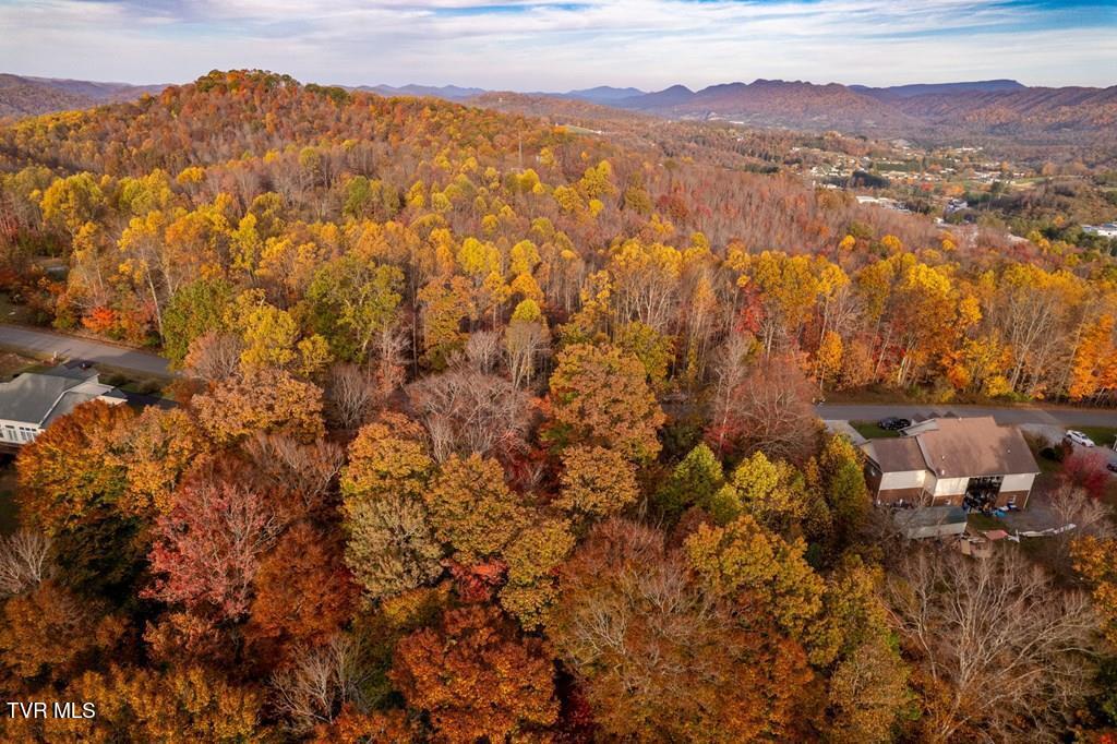Tbd Airport Road, Cedar Bluff, Virginia image 1