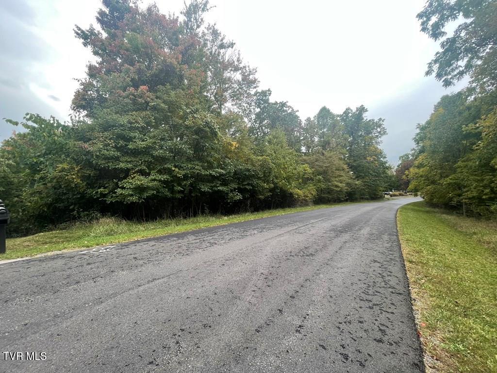 Tbd Airport Road, Cedar Bluff, Virginia image 7