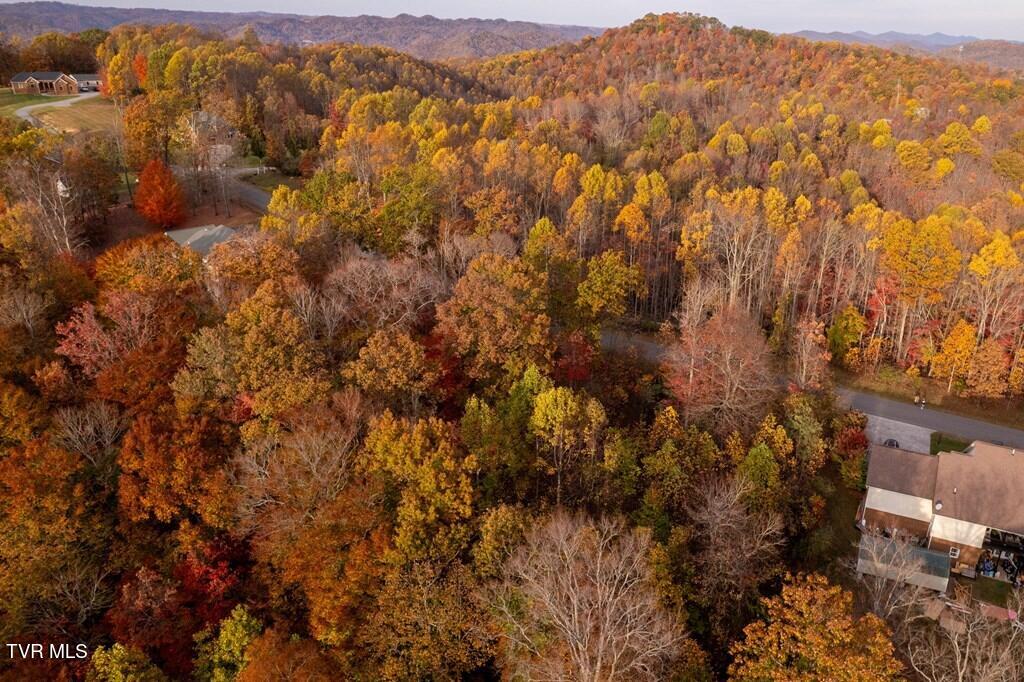 Tbd Airport Road, Cedar Bluff, Virginia image 4