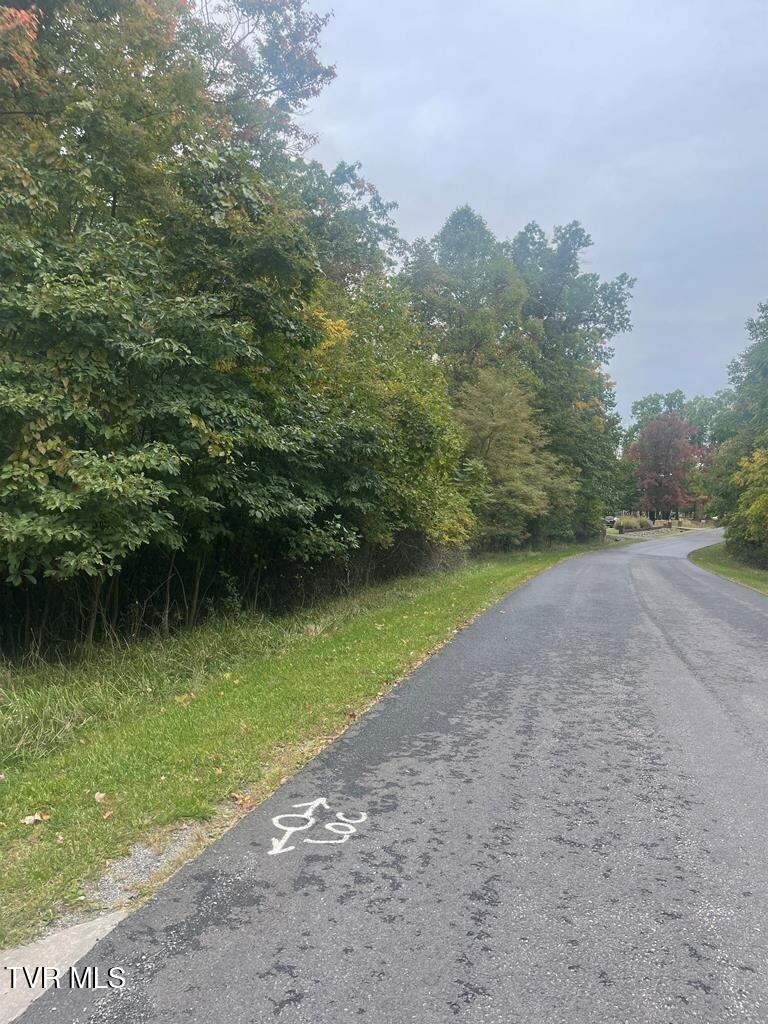 Tbd Airport Road, Cedar Bluff, Virginia image 8
