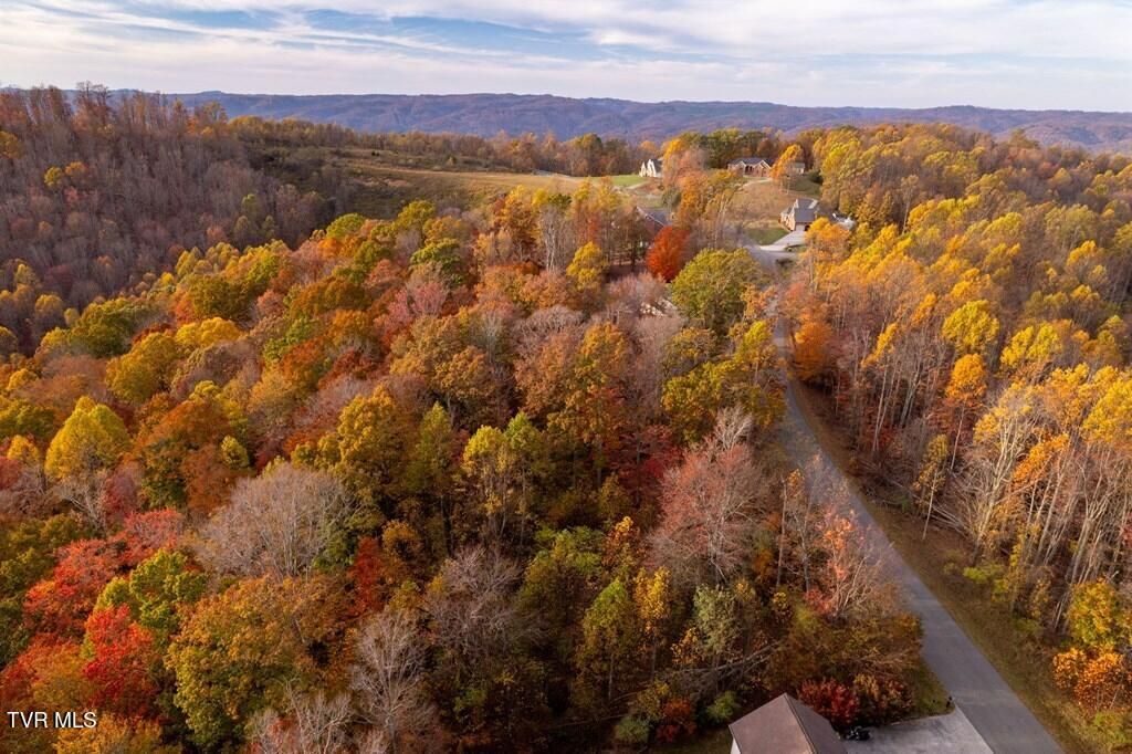 Photo of Tbd Airport Road, Cedar Bluff, VA 24609 (MLS # 9972867)