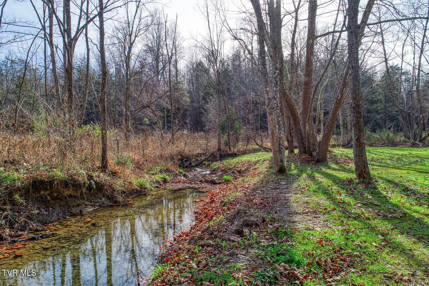 496 Sweet Creek Road, Rogersville, Tennessee image 20