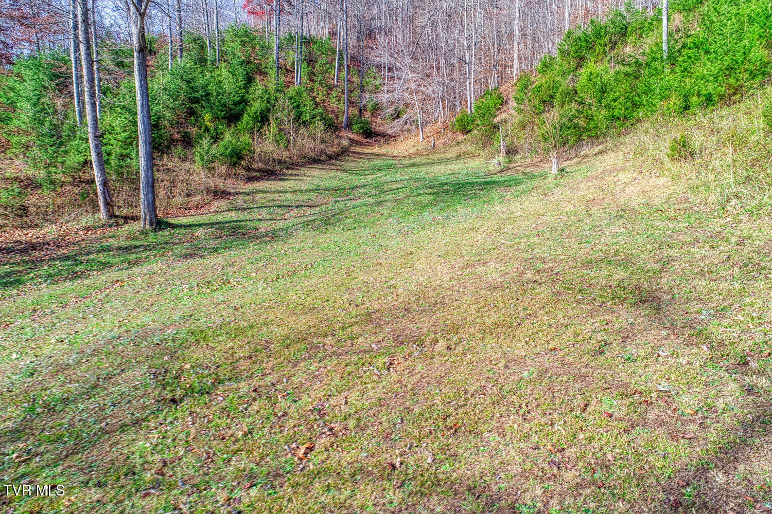 496 Sweet Creek Road, Rogersville, Tennessee image 5