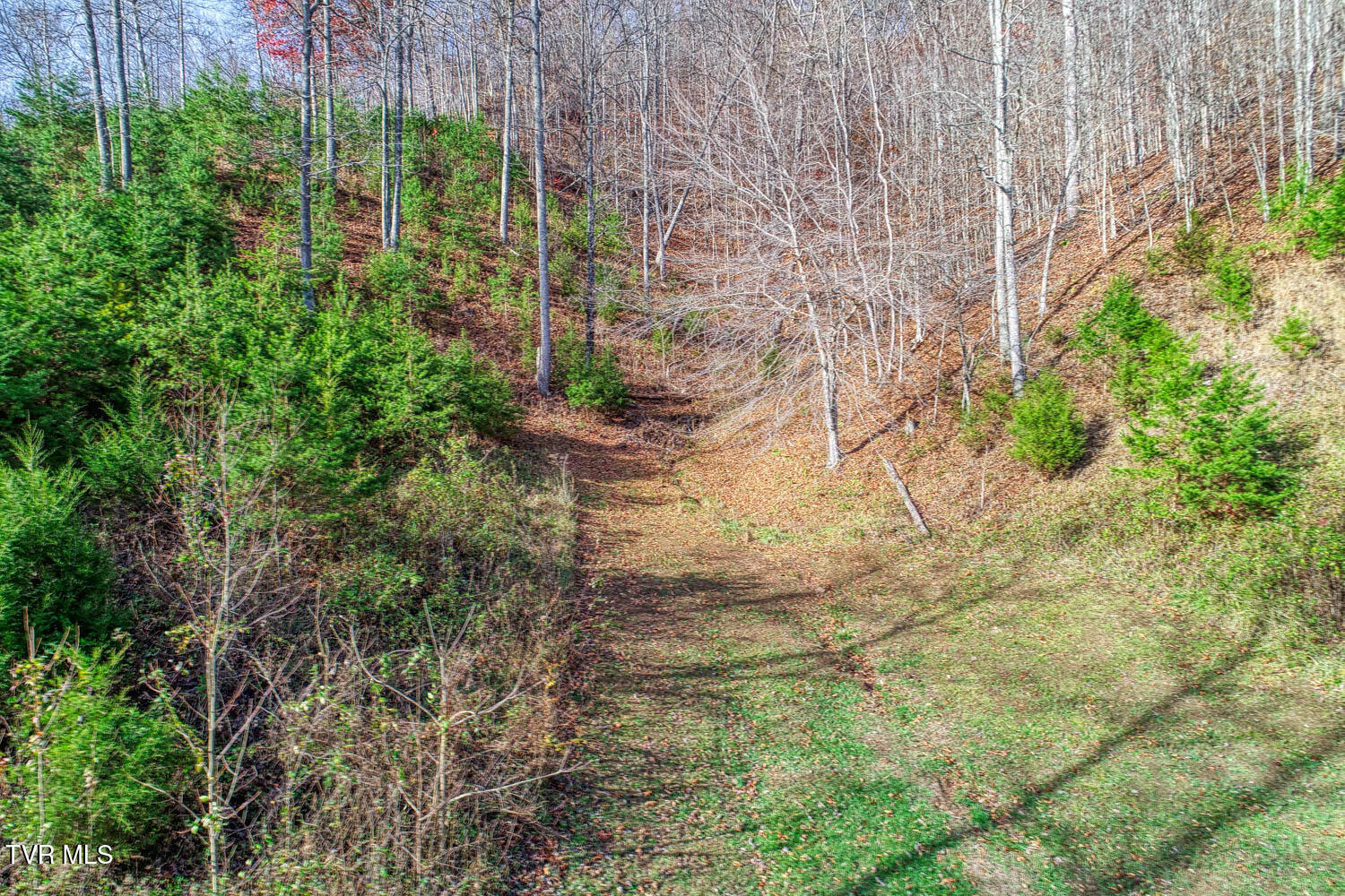 496 Sweet Creek Road, Rogersville, Tennessee image 6