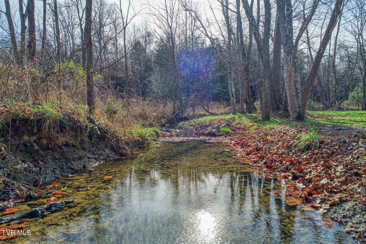 496 Sweet Creek Road, Rogersville, Tennessee image 21