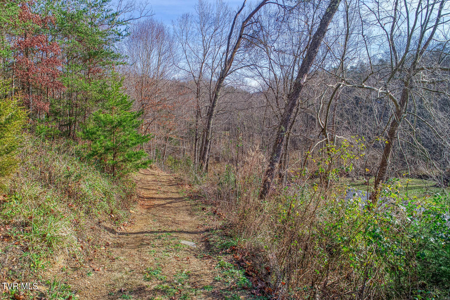 496 Sweet Creek Road, Rogersville, Tennessee image 17