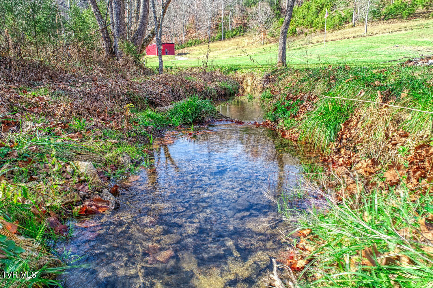 496 Sweet Creek Road, Rogersville, Tennessee image 29