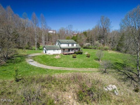 Photo of 245 Cliff Lane, Fall Branch, TN 37656 (MLS # 9993037)
