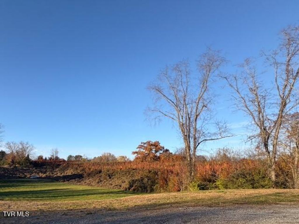 Photo of 1129 Highway 126, Bristol, TN 37620 (MLS # 9988419)