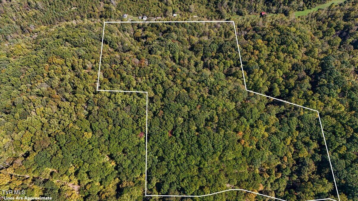 4087 Livingston Creek Road, Bristol, Virginia image 4