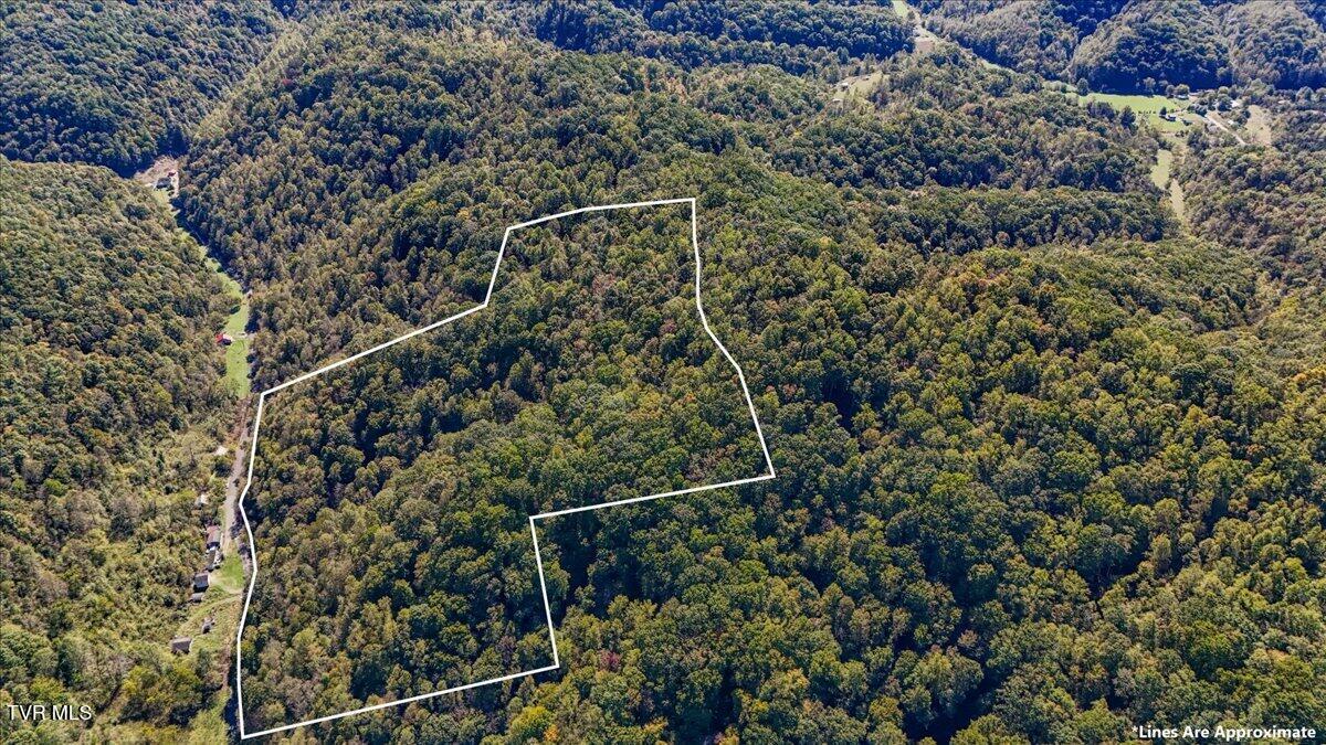 4087 Livingston Creek Road, Bristol, Virginia image 3