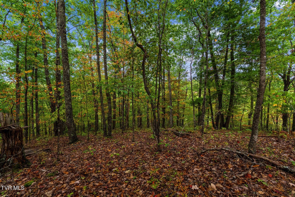 Photo of Tbd Rasnick Hollow Road, Elizabethton, TN 37643 (MLS # 10002250)