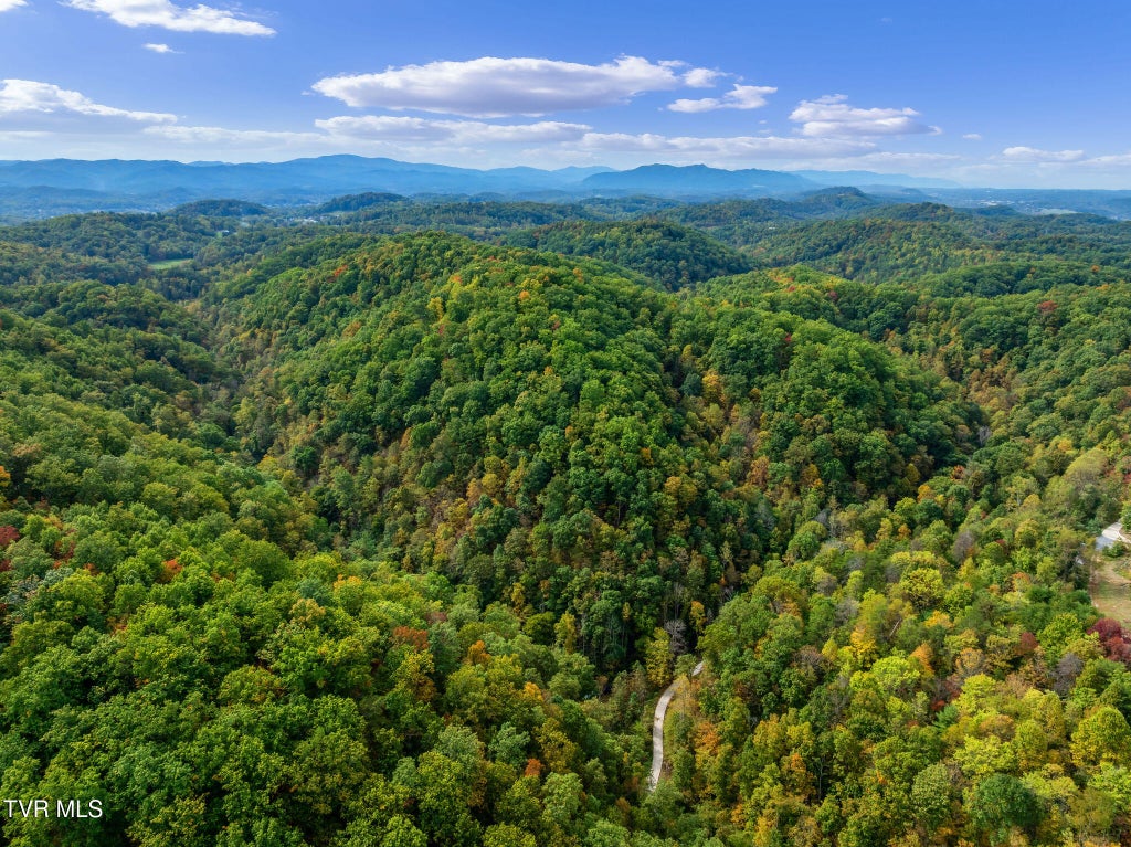 Photo of Tbd Rasnick Hollow Road, Elizabethton, TN 37643 (MLS # 10002250)