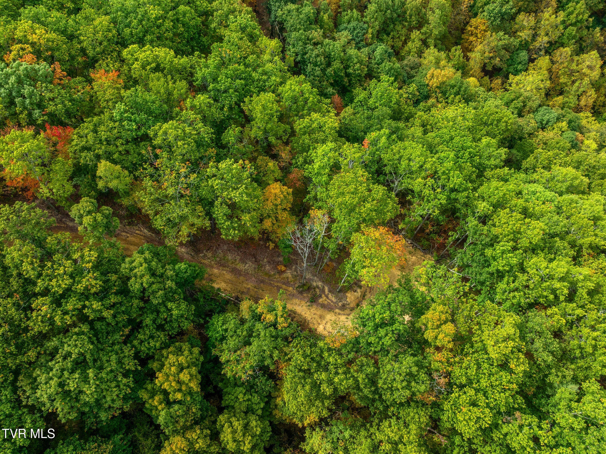 Tbd Rasnick Hollow Road