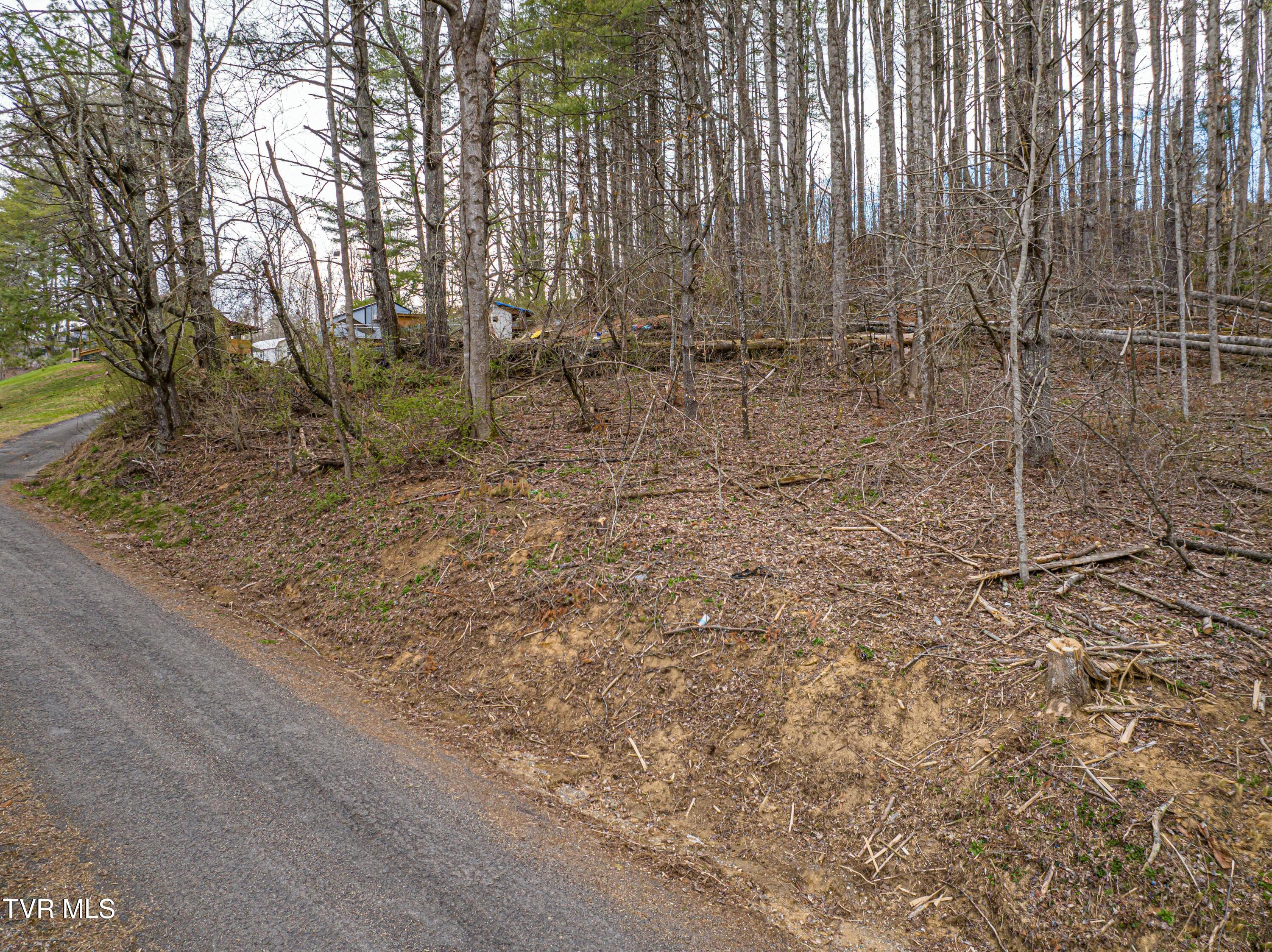 250 Beaver Walk Road, Mountain City, Tennessee image 4