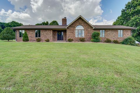 Photo of 122 Paynetown Road, Telford, TN 37690 (MLS # 9995356)