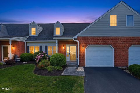 Photo of 1725 Lakeview Drive #Unit 41, Johnson City, TN 37601 (MLS # 9994957)